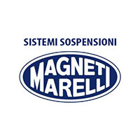 MAFNETI